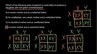 RedGreen Color Blindness inheritance patterns explained [upl. by Enawyd133]