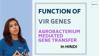 Agrobacterium Mediated Gene Transfer  Part 3  Function of Vir Genes [upl. by Retsila612]