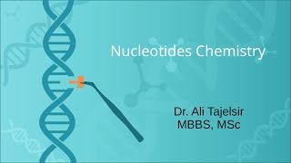 Overview of Nucleotides Chemistry شرح بالعربي [upl. by Kipton186]