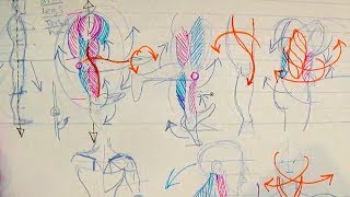 How to Draw Human Anatomy Part 1  Beginner Introduction [upl. by Uht]