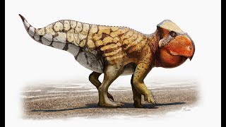 Udanoceratops An Abnormally Large Hornless Ceratopsian From Late Cretaceous Mongolia [upl. by Roice532]