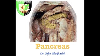 Anatomy of Pancreas [upl. by Salot]