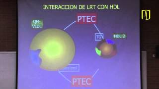 Metabolismo de lípidos  Bioquímica médica [upl. by Einahpats]