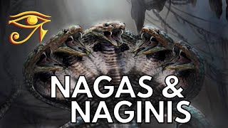 The Nagas amp Naginis  Serpentine Beings of Indian Legend [upl. by Anahir266]