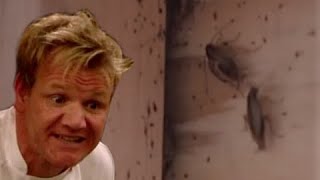 The Absolute Dirtiest Kitchen on Kitchen Nightmares and the Lawsuit that resulted from it [upl. by Nolahs756]