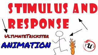 STIMULUS AND RESPONSE ANIMATION🐉🐉 [upl. by Einneg]