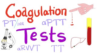 Coagulation Tests  PT aPTT TT Fibrinogen Mixing Studies [upl. by Ahsino]