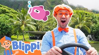 Blippi Goes Fishing in Hawaii Educational Videos for Toddlers [upl. by Annonyw]