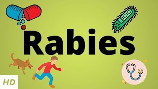 Rabies Causes SIgn and Symptoms Diagnosis and Treatment [upl. by Alberta]