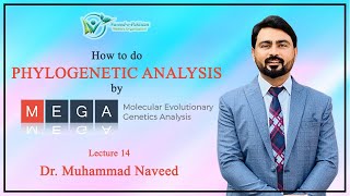 MEGA  How to construct Phylogenetic Tree  Lecture 14  Dr Muhammad Naveed [upl. by Ahseyt]