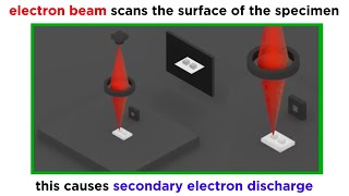 Electron Microscopy TEM and SEM [upl. by Lozano704]