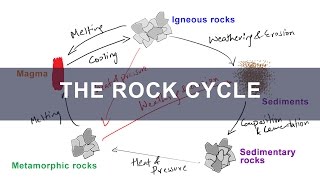 Rock Cycle  Formation of Igneous Metamorphic Sedimentary Rocks  Geology [upl. by Joane]