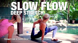 Slow Flow  Deep Stretch Yoga Class  from Costa Rica  Five Parks Yoga [upl. by Anniala]