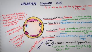 Asthma Medications Made Easy PLUS mnemonics [upl. by Murat]