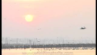 Triveni Sangam  the intersection of Yamuna and Ganges rivers [upl. by Remat79]