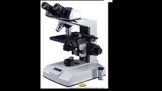 Micro Lab 3 Introduction to Compound Light Microscopy [upl. by Barayon]