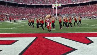 Ohio State Dance Team With Brutus Buckeye [upl. by Euphemia]