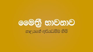 Maithree Bawanawa  Nauyane Ariyadhamma Thero [upl. by Garin]