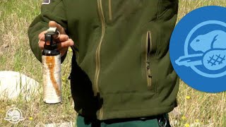 How to Use Bear Spray  Banff National Park [upl. by Esmond]