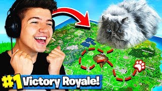 Using A CAT To WIN FORTNITE Battle Royale [upl. by Macnair]