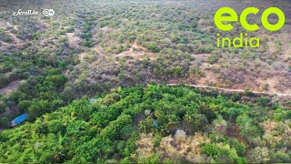 Eco India How a forest cooperative is reversing desertification in Tamil Nadu [upl. by Nosreg]