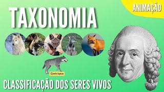 TAXONOMIA  CLASSIFICAÇÃO DOS SERES VIVOS  Animação [upl. by Tare500]