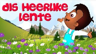 Dis Heerlike Lente  Afrikaans Kinderliedjies  Kleuterskool liedjies  Spring Afrikaans Kids Song [upl. by Saddler]