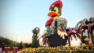 Dubai Miracle Garden 2020 Day Tour [upl. by Azne985]