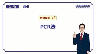 【高校生物】 遺伝17 PCR法（２０分） [upl. by Rida]