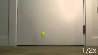 Bouncing Ball Reference [upl. by Ilhsa]