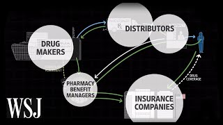 How Drug Prices Work  WSJ [upl. by Frodina]