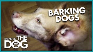 How to Stop Your Dog from Barking  Its Me or the Dog [upl. by Adnilreb]