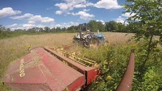 Mowing with New Holland 474 Haybine [upl. by Mitchell]