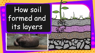 Science  Soil Formation and soil layers  English [upl. by Pelagi443]