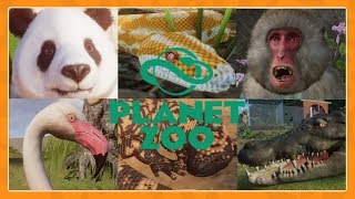 All 76 animals in Planet Zoo [upl. by Essirehs867]