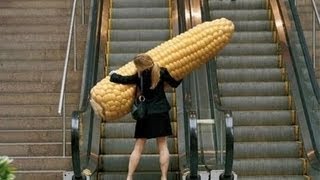 Funniest Escalator Fails February 2013 [upl. by Oicaroh]