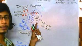 Vaccines part 1  what is vaccination [upl. by Esilrac]