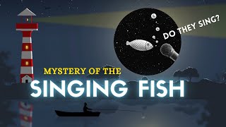 Mystery of the Singing Fish  Sri Lanka [upl. by Wootten]