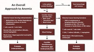 Anemia Lesson 5  An Approach to Diagnosis [upl. by Ahseia]