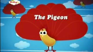 BabyTV The Pigeon english [upl. by Gnilrets]