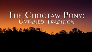 The Choctaw Pony Untamed Tradition [upl. by Arayc]