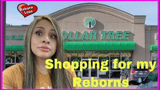 Shopping for my Reborn Babies at the Dollar Tree Reborn Dollar tree haul [upl. by Anihpesoj]