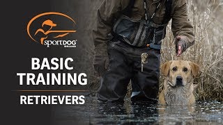 Basic Training  Retrievers [upl. by Charlotte]