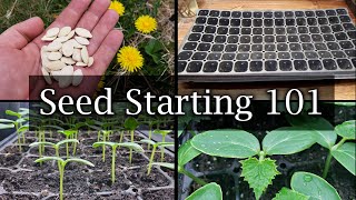 How To Start Vegetable Seeds  The Definitive Guide For Beginners [upl. by Aitsirk]