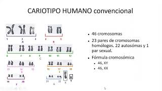 Anomalías cromosómicas Parte 1  Profundizaciones [upl. by Sadoc]