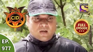 CID  सीआईडी  Ep 977 Jungle Mystery  Full Episode [upl. by Linis]