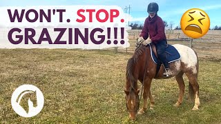 Horse Grazing While Leading amp Riding  EASY FIX [upl. by Gentilis]