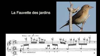 Les chants doiseaux du CATALOGUE DOISEAUX dOlivier Messiaen [upl. by Keldah497]