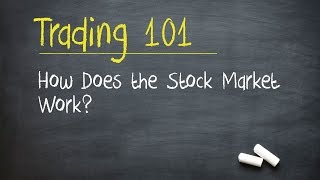 Trading 101 How Does the Stock Market Work [upl. by Nitnelav]