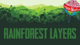 The 4 Layers of the Rainforest [upl. by Annaesor]